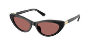 Polo Ralph Lauren PH4199U Shiny Black Sunglasses