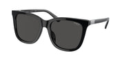 Polo Ralph Lauren PH4201U Shiny Black Sunglasses