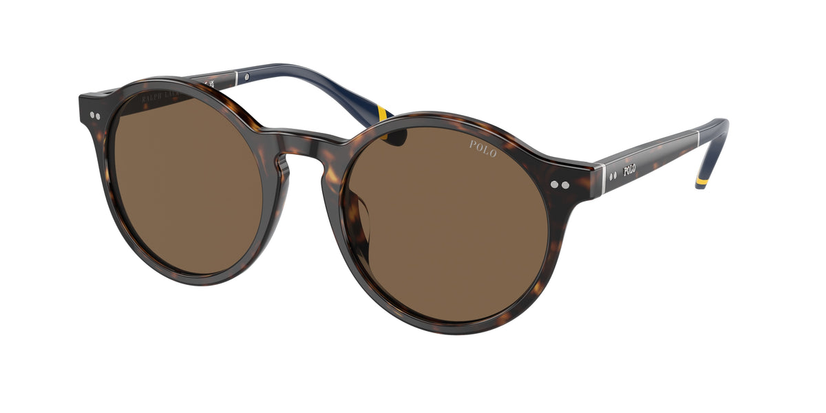 Polo Ralph Lauren PH4204U Shiny Dark Havana Sunglasses