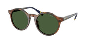 Polo Ralph Lauren PH4204U Shiny Brown Tortoise Sunglasses