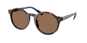 Polo Ralph Lauren PH4204U Shiny Dark Havana Sunglasses