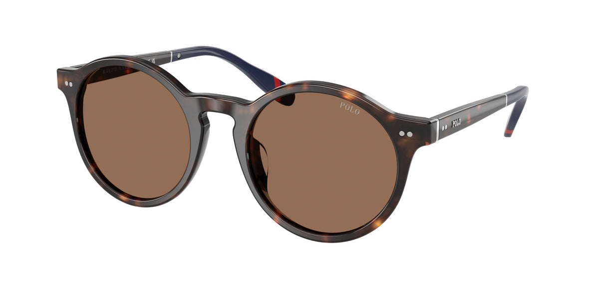 Polo Ralph Lauren PH4204U Shiny Dark Havana Sunglasses