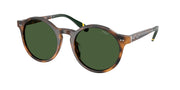 Polo Ralph Lauren PH4204U Shiny Red Havana Sunglasses