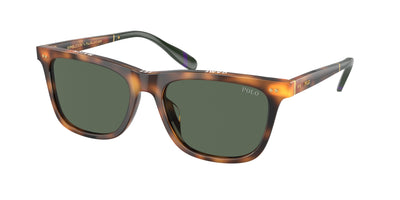 Polo Ralph Lauren PH4205U Sunglasses
