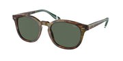 Polo Ralph Lauren PH4206 Shiny Brown Tortoise Sunglasses
