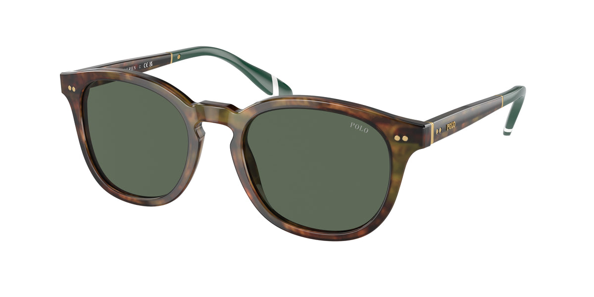 Polo Ralph Lauren PH4206 Shiny Brown Tortoise Sunglasses