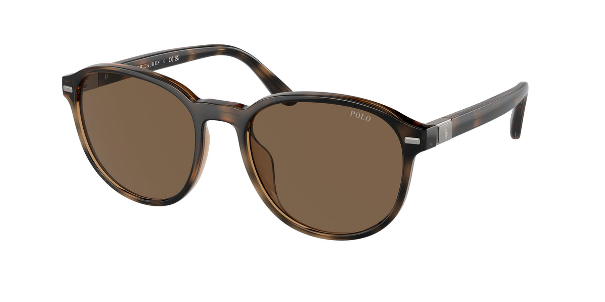 Polo Ralph Lauren PH4207U Shiny Havana Sunglasses