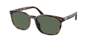 Polo Ralph Lauren PH4208U Shiny Havana Sunglasses