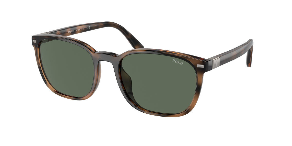 Polo Ralph Lauren PH4208U Shiny Havana Sunglasses