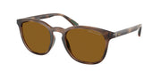 Polo Ralph Lauren PH4222U Shiny Dark Havana Sunglasses
