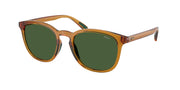 Polo Ralph Lauren PH4222U Shiny Transparent Honey Brown Sunglasses
