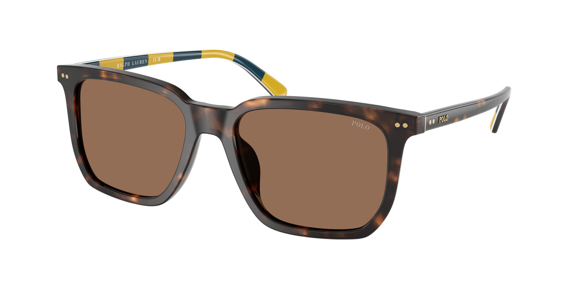 Polo Ralph Lauren PH4224F Shiny Dark Havana Sunglasses