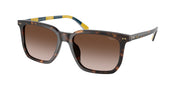 Polo Ralph Lauren PH4224U Shiny Dark Havana Sunglasses