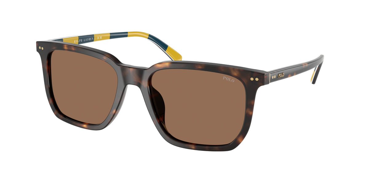 Polo Ralph Lauren PH4224U Shiny Dark Havana Sunglasses