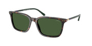 Polo Ralph Lauren PH4226 Shiny Dark Havana Sunglasses