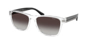 Polo Ralph Lauren PH4229U Shiny Crystal Sunglasses