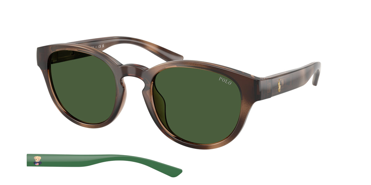 Polo Ralph Lauren PH4233U Shiny Dark Havana Sunglasses