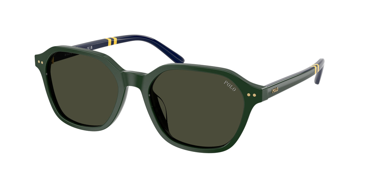 Polo Ralph Lauren PH4234U Shiny Green Sunglasses