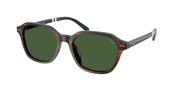 Polo Ralph Lauren PH4234U Shiny Striped Brown Sunglasses