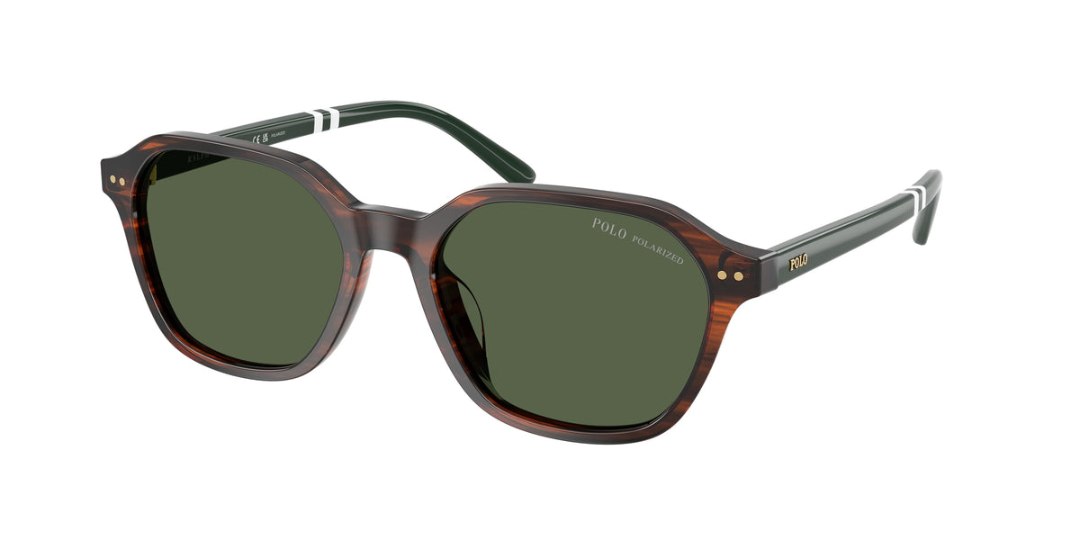 Polo Ralph Lauren PH4234U Shiny Havana Sunglasses