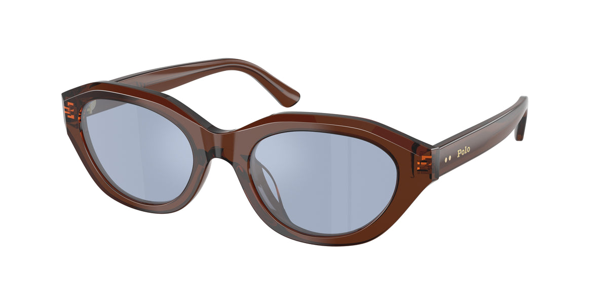 Polo Ralph Lauren PH4237U Shiny Transparent Brown Sunglasses