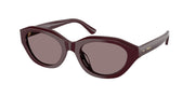 Polo Ralph Lauren PH4237U Dark Violet Sunglasses