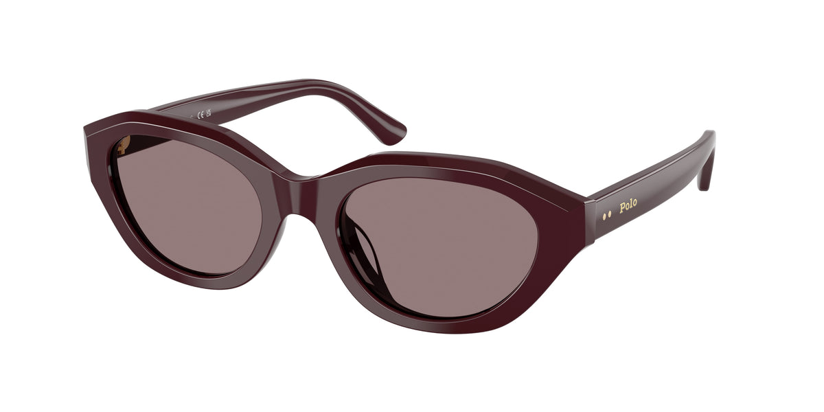 Polo Ralph Lauren PH4237U Dark Violet Sunglasses
