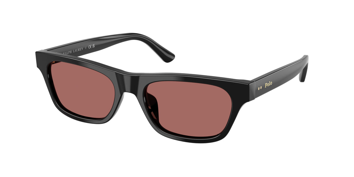 Polo Ralph Lauren PH4238U Shiny Black Sunglasses