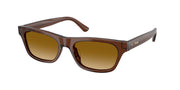 Polo Ralph Lauren PH4238U Shiny Transparent Brown Sunglasses