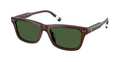 Polo Ralph Lauren PH4240U Shiny Transparent Brown Sunglasses