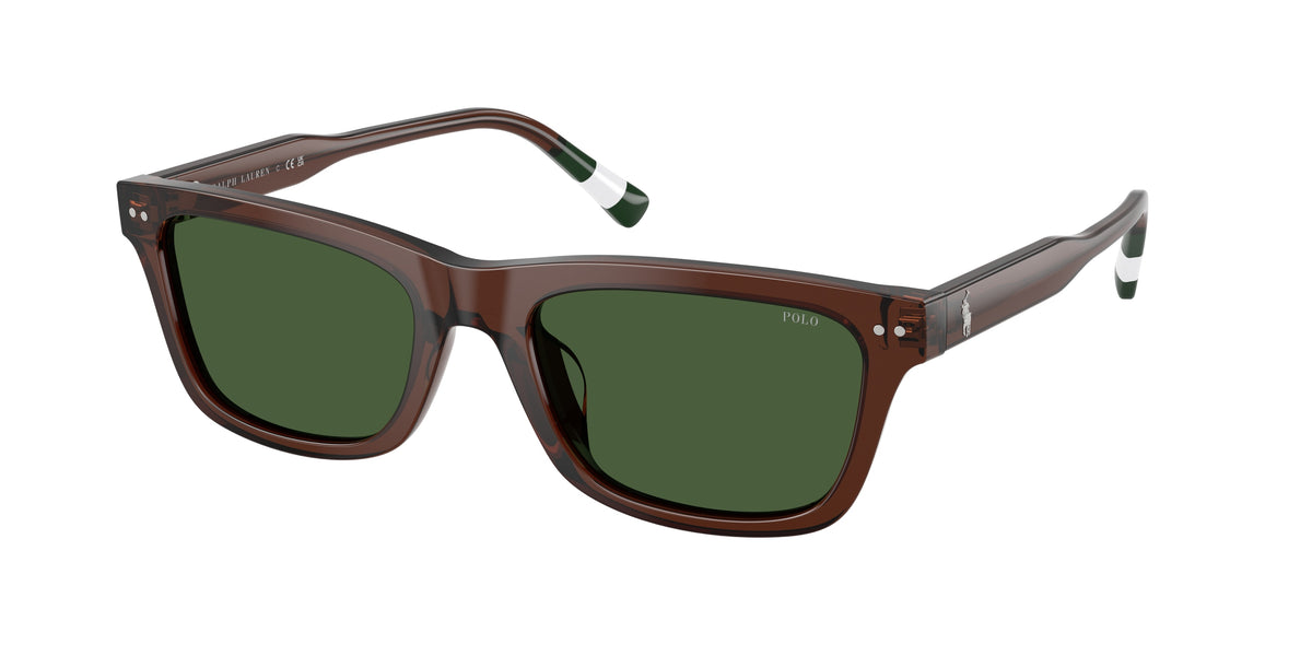 Polo Ralph Lauren PH4240U Shiny Transparent Brown Sunglasses
