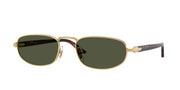 Persol PO1028S Gold Sunglasses