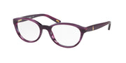 Polo Prep PP8526 Shiny Purple Horn Eyeglasses Kids