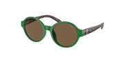Polo Prep PP9508U Shiny Green Sunglasses Kids