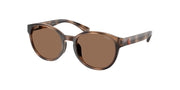Polo Prep PP9509U Shiny Dark Havana Sunglasses Kids