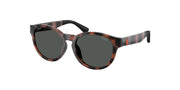Polo Prep PP9512U Shiny Havana Sunglasses Kids