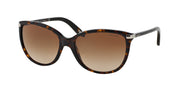 Ralph RA5160 Shiny Dark Tortoise Sunglasses