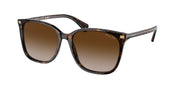 Ralph RA5293 Shiny Dark Havana Sunglasses