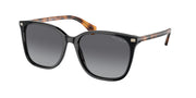 Ralph RA5293 Shiny Black Sunglasses