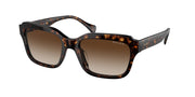 Ralph RA5312U Shiny Dark Havana Sunglasses