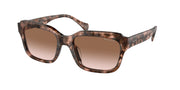 Ralph RA5312U Shiny Pink Havana Sunglasses
