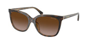 Ralph RA5343U Dark Havana On Transparent Sunglasses