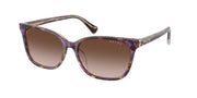 Ralph RA5348U Violet Havana/Transparent Sunglasses