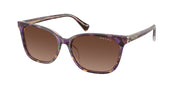 Ralph RA5348U Violet Havana/Transparent Sunglasses