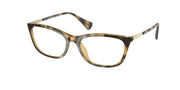 Ralph RA7138U Dark Havana Eyeglasses