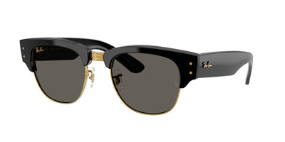 Ray-Ban RB0316S Sunglasses