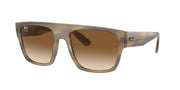 Ray-Ban RB0360S Striped Green Sunglasses