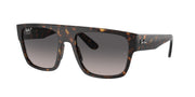 Ray-Ban RB0360S Havana Sunglasses