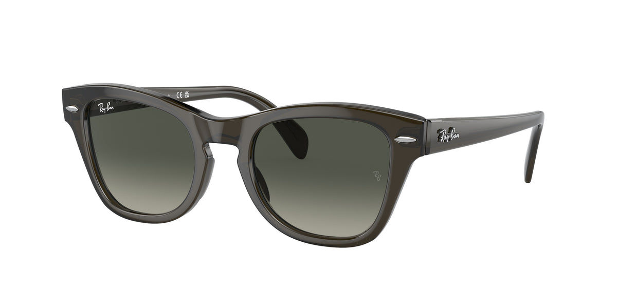Ray-Ban RB0707S Transparent Olive Green Sunglasses