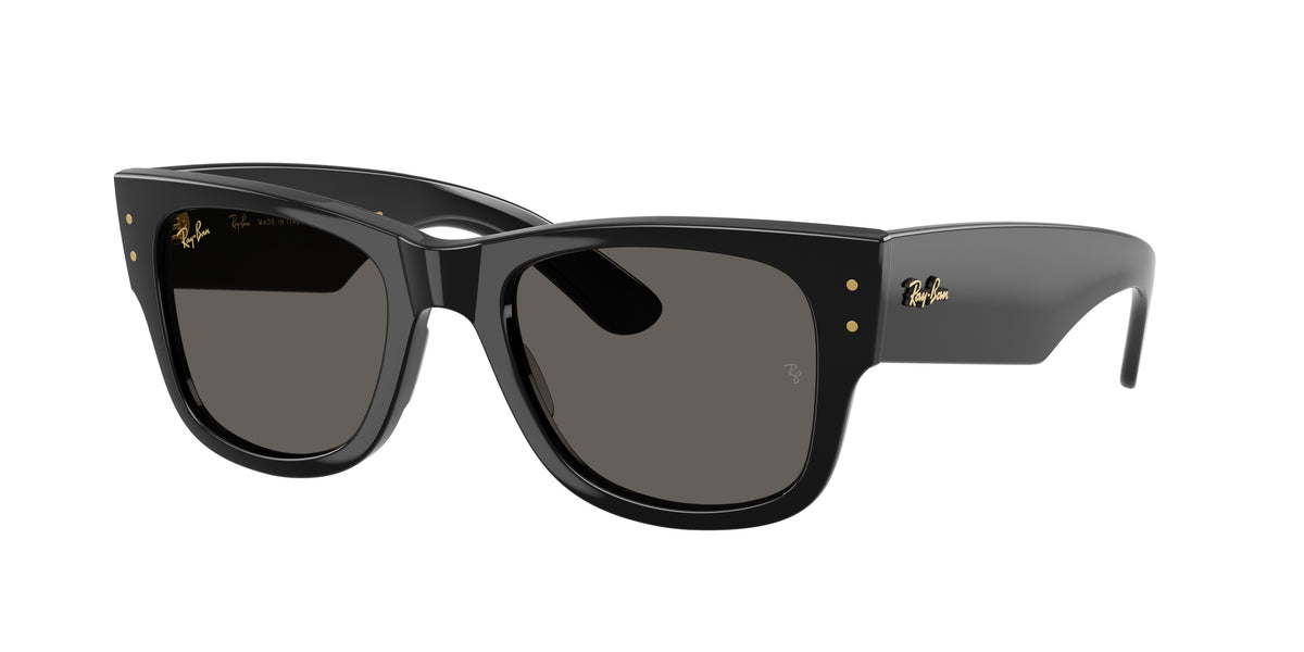 Ray-Ban RB0840SF Black Sunglasses